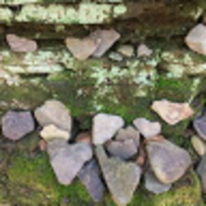 Meet your Posher, Sadie elizabeth